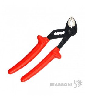 PICO LORO BIASSONI 10