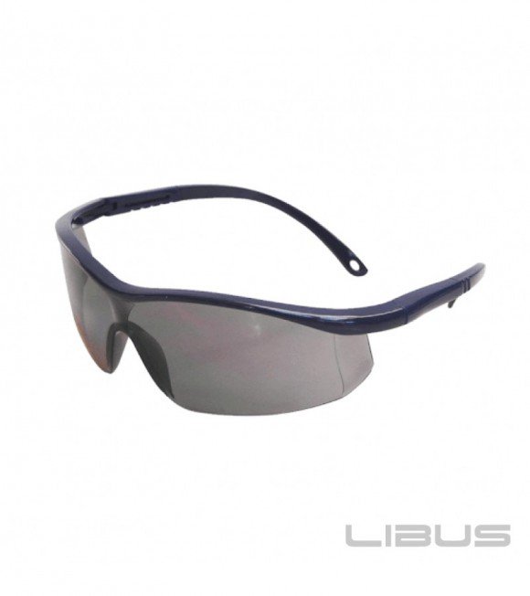 ANTEOJO LIBUS ARGON ELITE GRIS HC